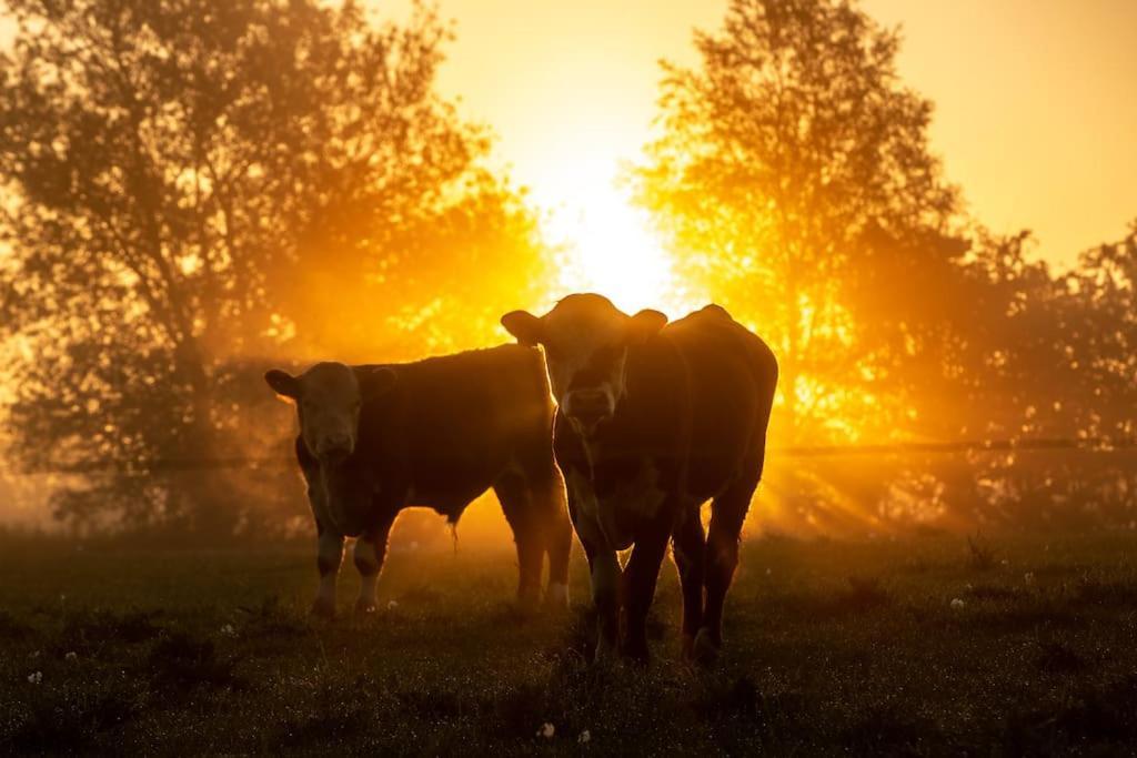 Vejby Kongsholmlund. Enjoy The Countryside. 아파트 외부 사진