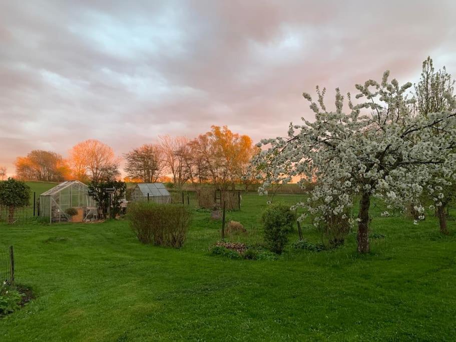 Vejby Kongsholmlund. Enjoy The Countryside. 아파트 외부 사진