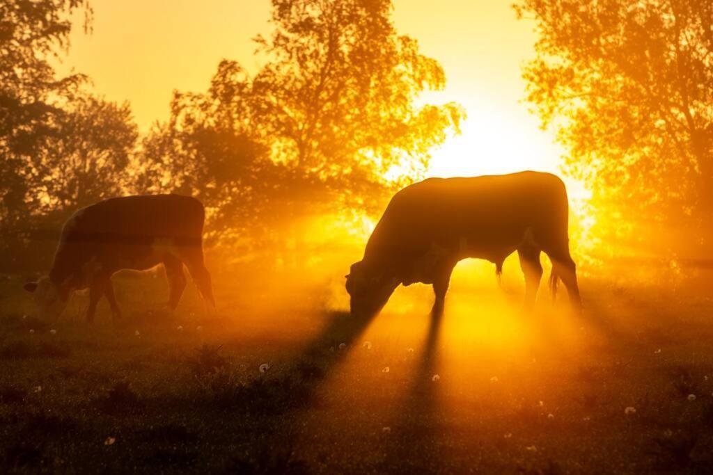 Vejby Kongsholmlund. Enjoy The Countryside. 아파트 외부 사진